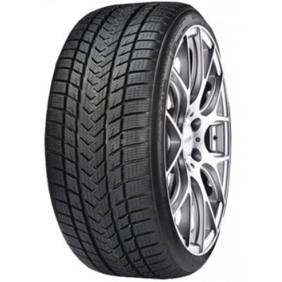 GRIPMAX PRO WINTER 285/40 R21 109V