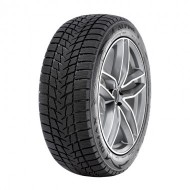 RADAR DIMAX ALPINE RASYCN0823 195/55 R15 89H