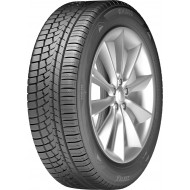 205/50 R17 WH1000