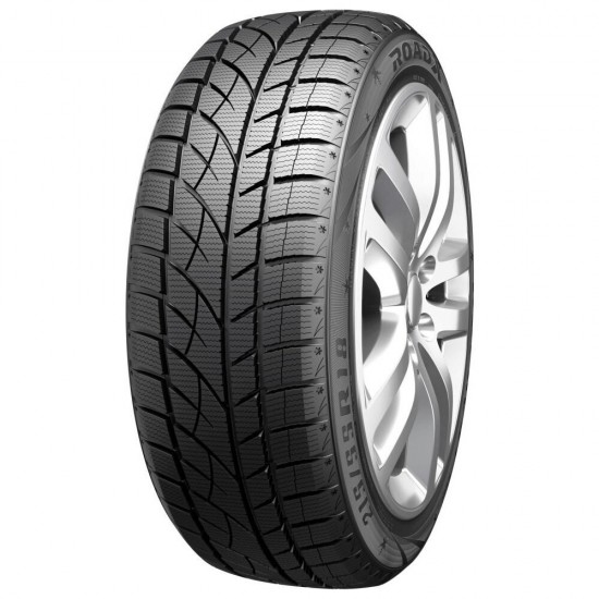 205/55 R17 ROADX RxFrost WU01