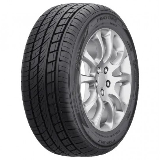 255/50 R20 FSR-303