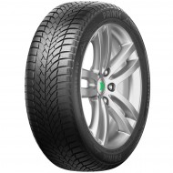 235/55 R19 EXCELIA